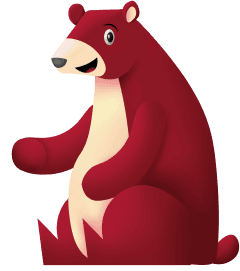 bear
